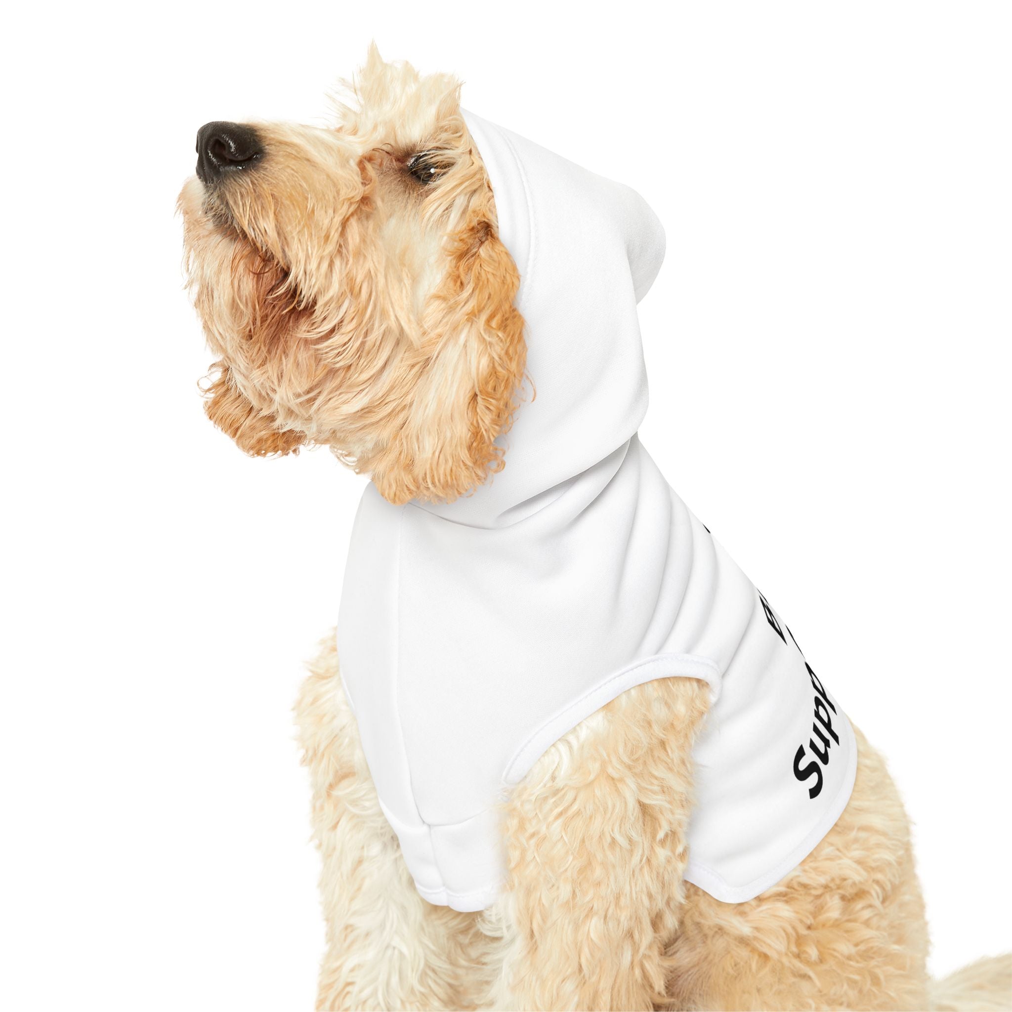 Bronco Support Animal Pet Hoodie – Dog & Cat Hooded Shirt for Bronco Fans