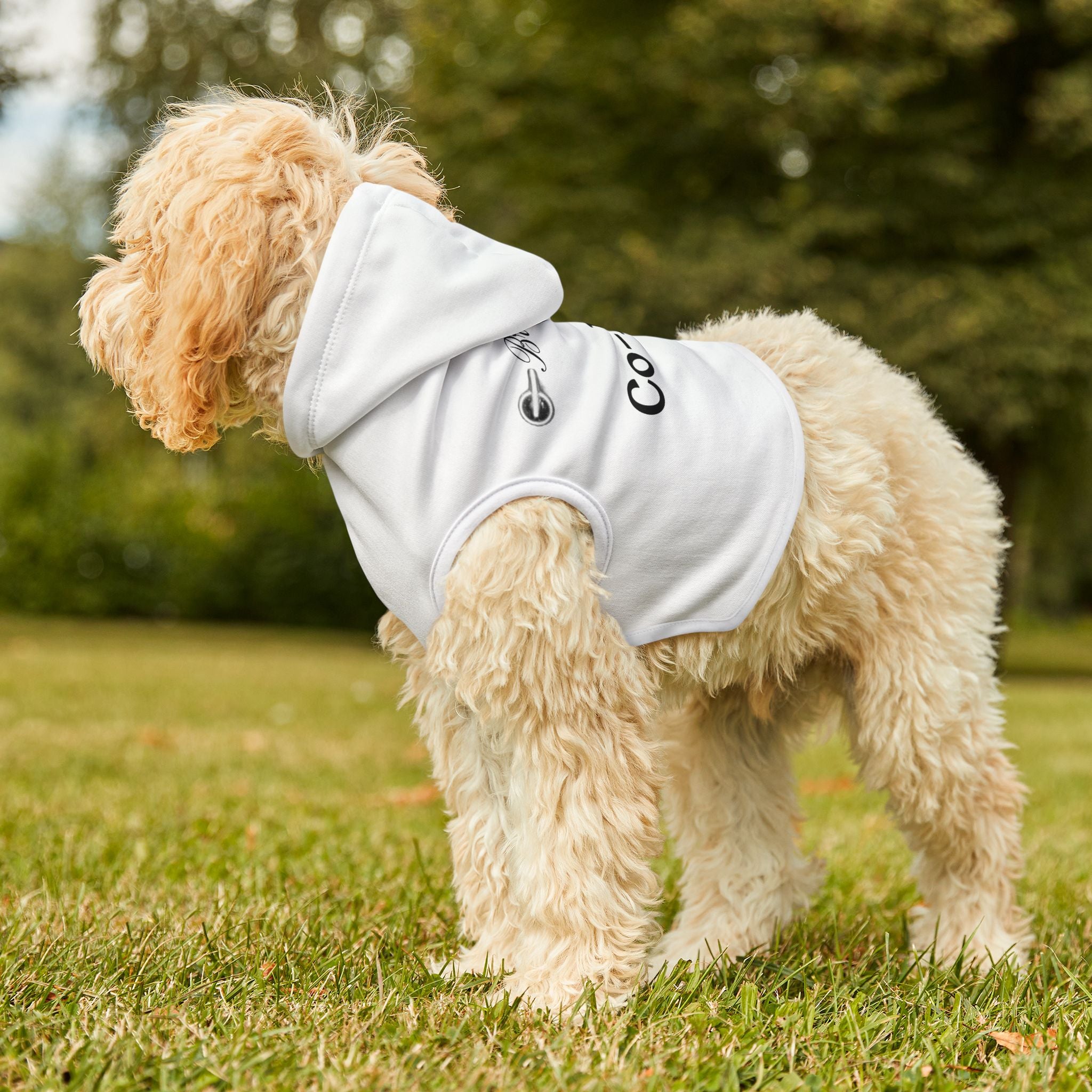 Bronco Co-Pilot Pet Hoodie – Small Dog & Cat Ford Bronco Pullover