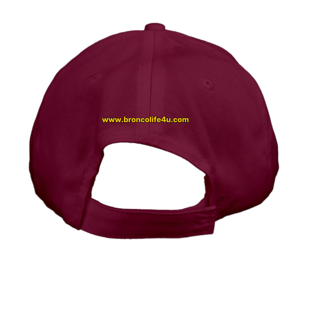 Black low profile dad hat with bold Ford Bronco graphic and "It’s a Bronco B*#CH!" slogan, by Bronco Life.