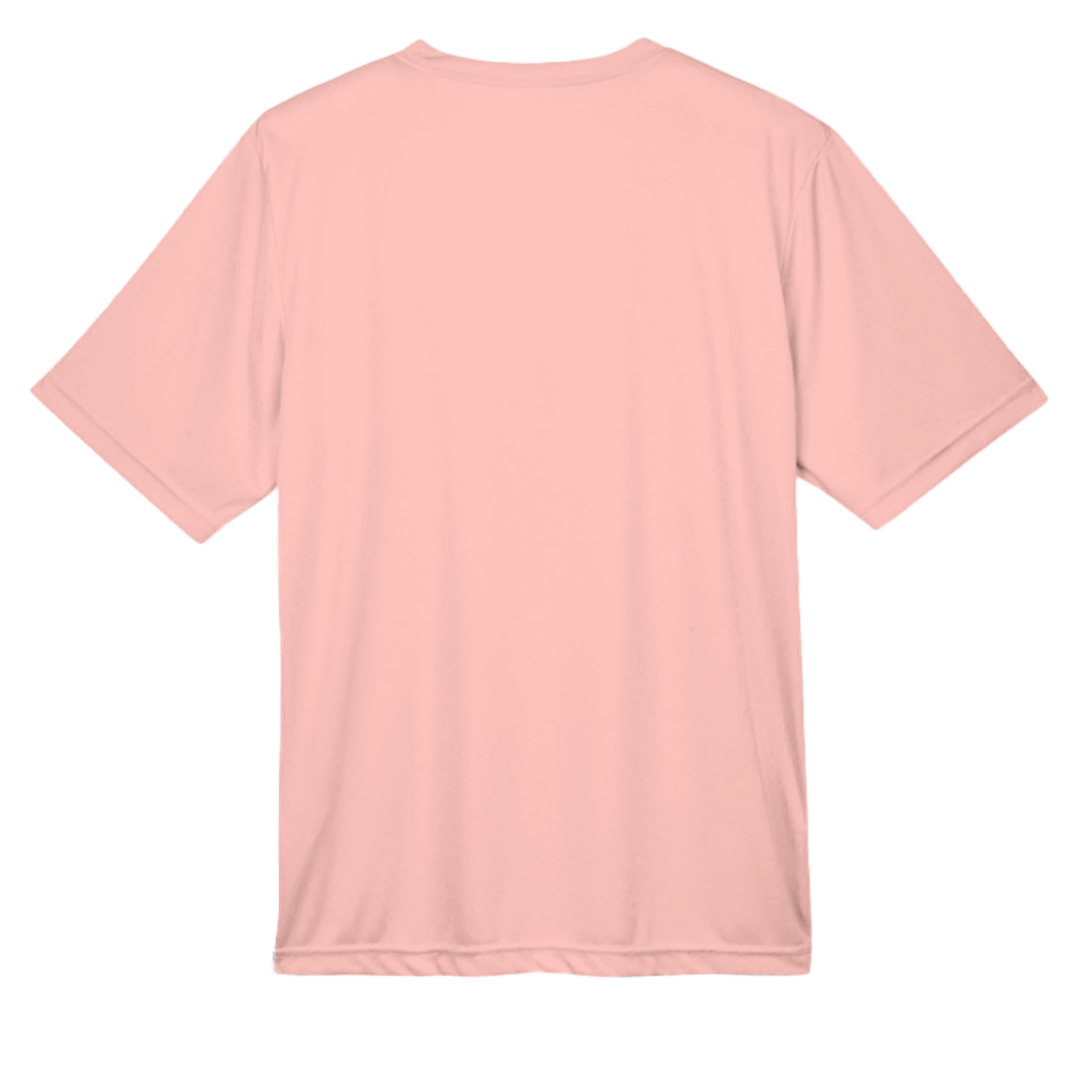 “Not a Passenger Princess” Performance Moisture Wicking Tee wicking tee