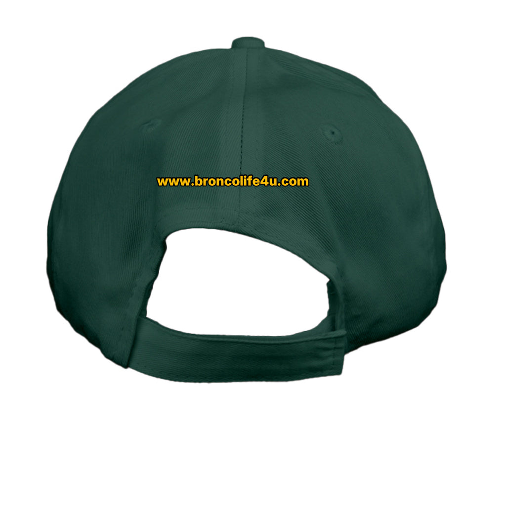Bronco Mane No Shame Low-Profile Baseball Cap – Ford Bronco Lifestyle Hat Hats